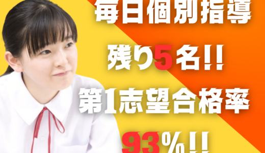 毎日個別指導【10名限定】